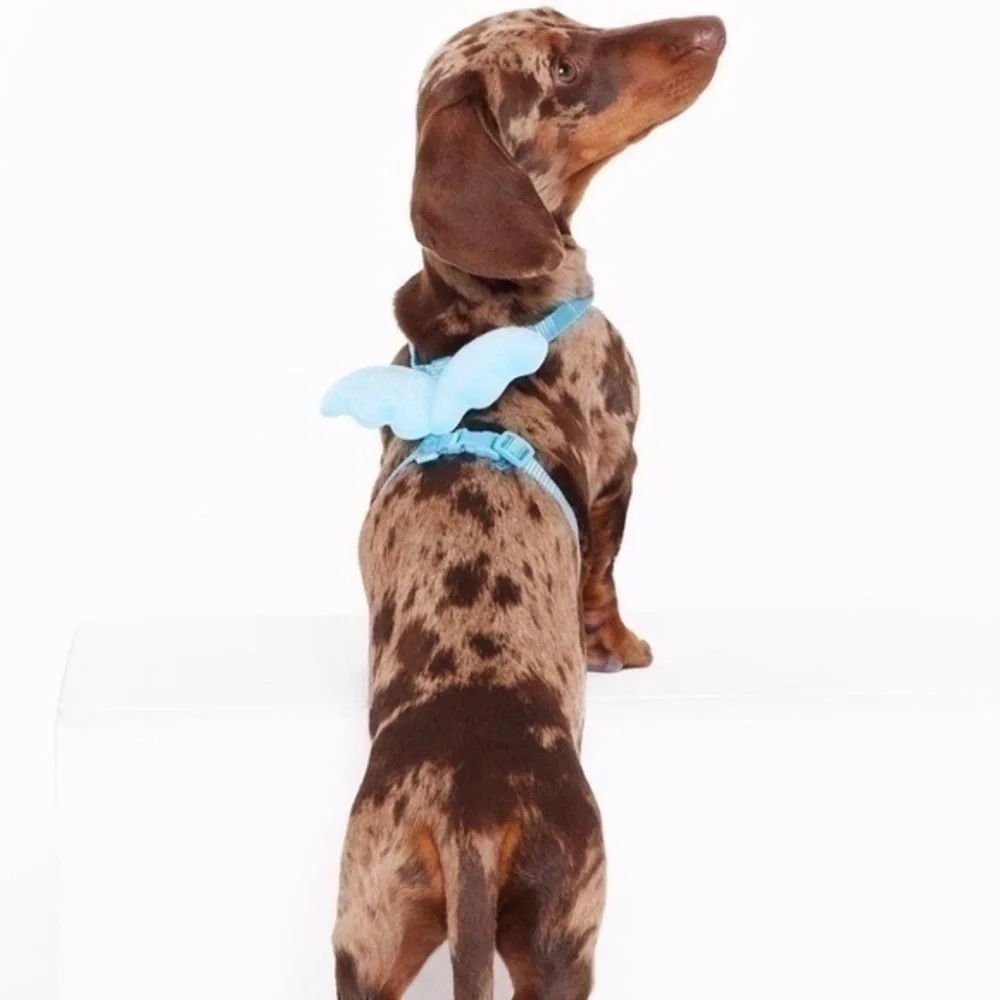 Blue Angel Winged Dog Harness, One Size